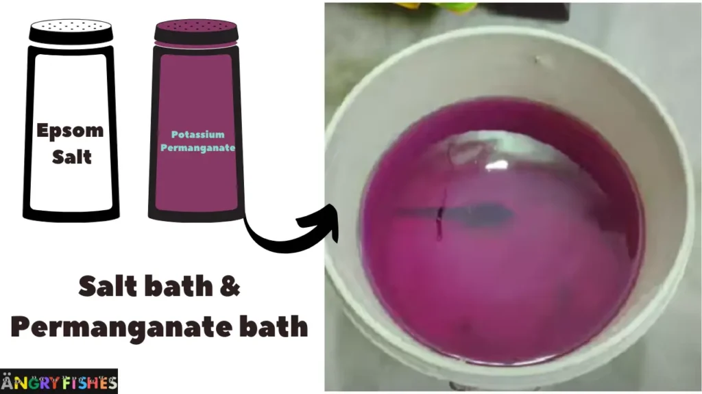 flowerhorn salt bath or permanganate bath