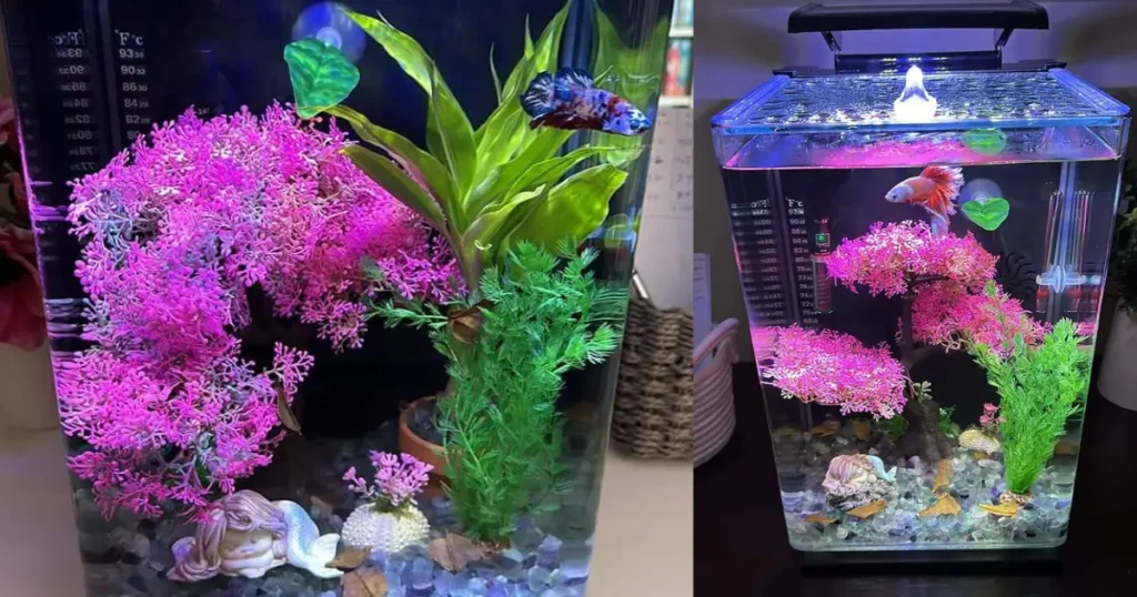 plastic decors in betta tank