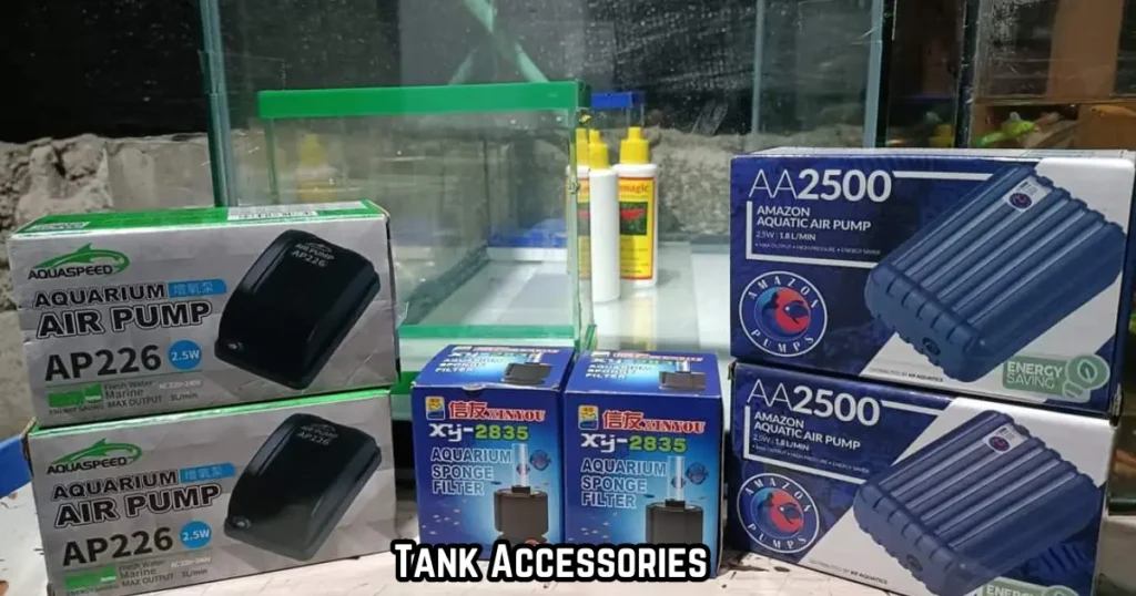 betta tank accessories