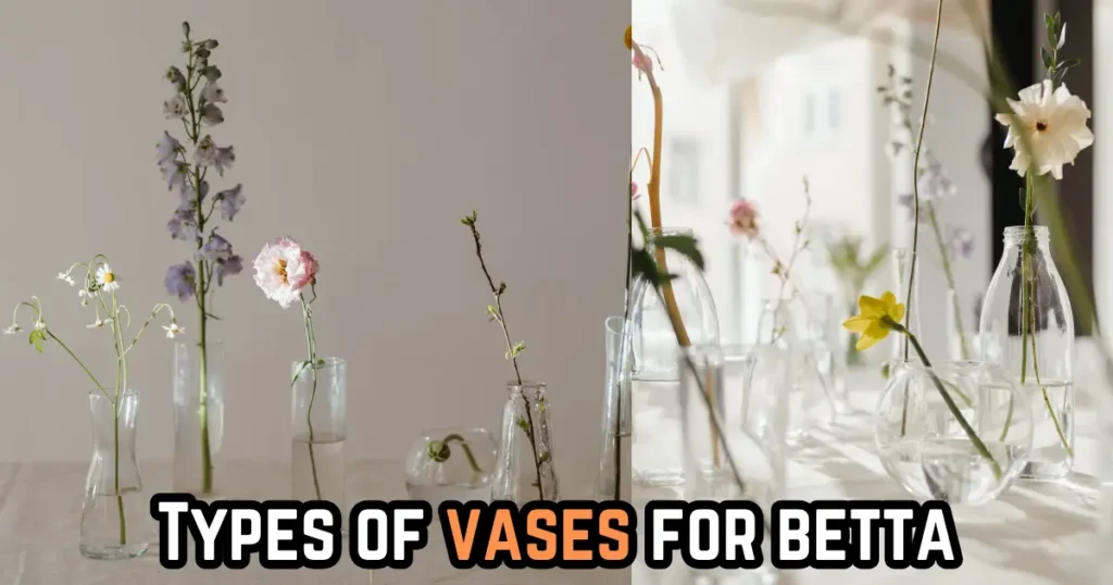 types of vases for betta