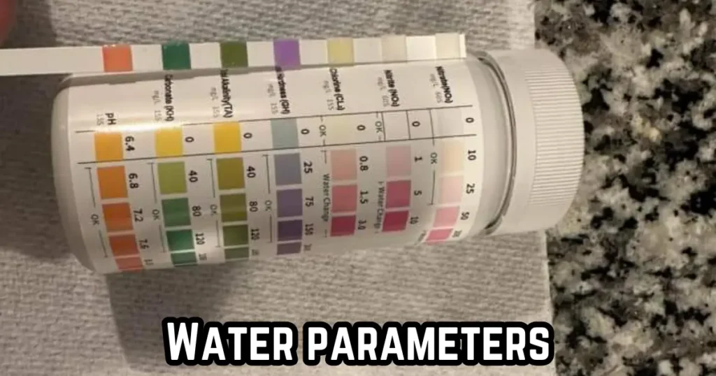 water parameter check