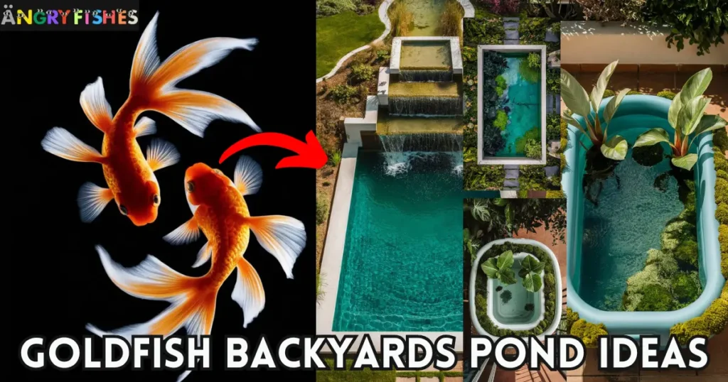 GoldFish backyard pond ideas