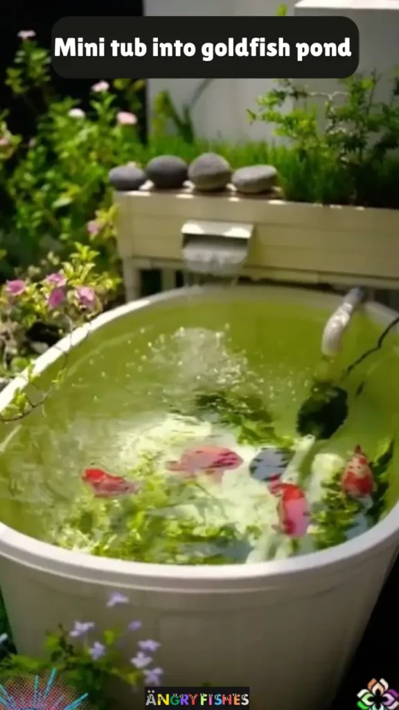 bulk plastic cans pond for goldfish